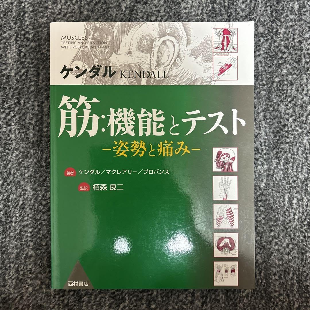 筋:機能とテスト : 姿勢と痛み 筋：機能とテスト 姿勢と痛み／ケンダル